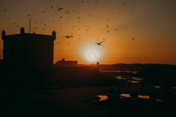 Voyage à Essaouira : 5 Tips